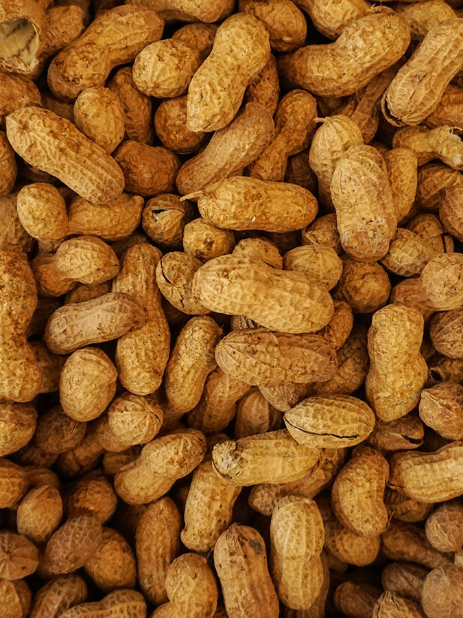Supplements with PEA
