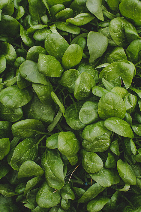 Supplements with Folic Acid