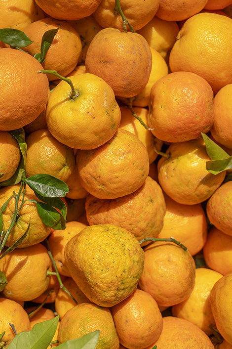 Suplementos con Citrus aurantium