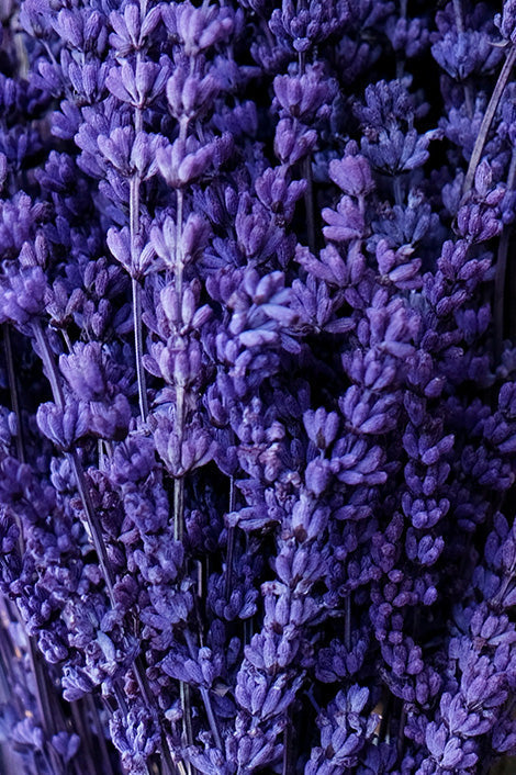 Lavender Supplements