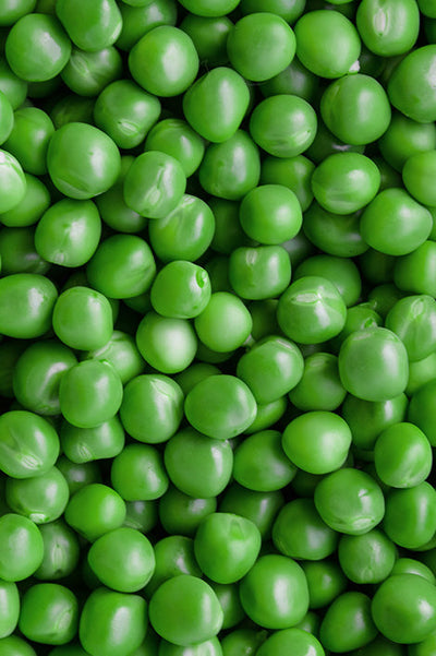 Pea protein isolate