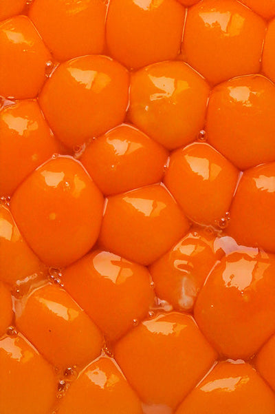 Choline bitartrate