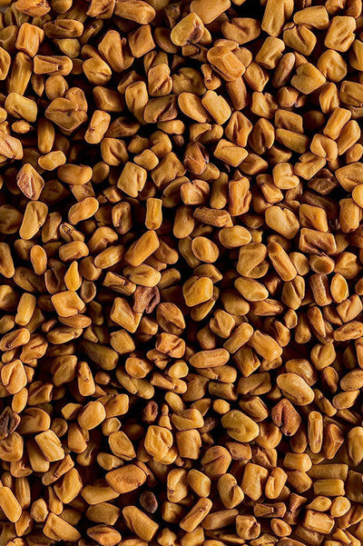 Fenugreek seed