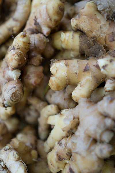 Ginger