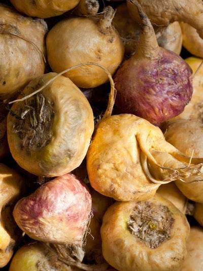 Maca (Macafull®)