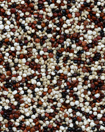 Essential Amino Acid (EAA) Blend