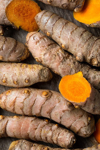 Turmeric rhizome